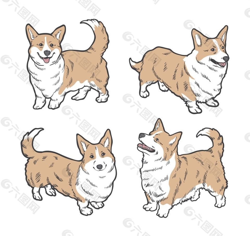 橘猫黑下巴的原因揭秘:宠物护理小常识